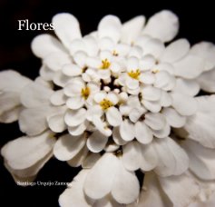 Flores book cover