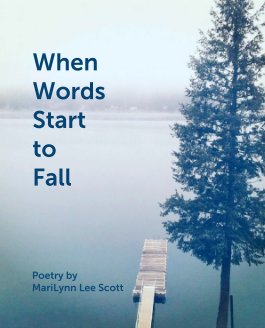 When
Words
Start
to
Fall book cover
