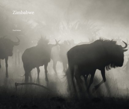 Zimbabwe book cover