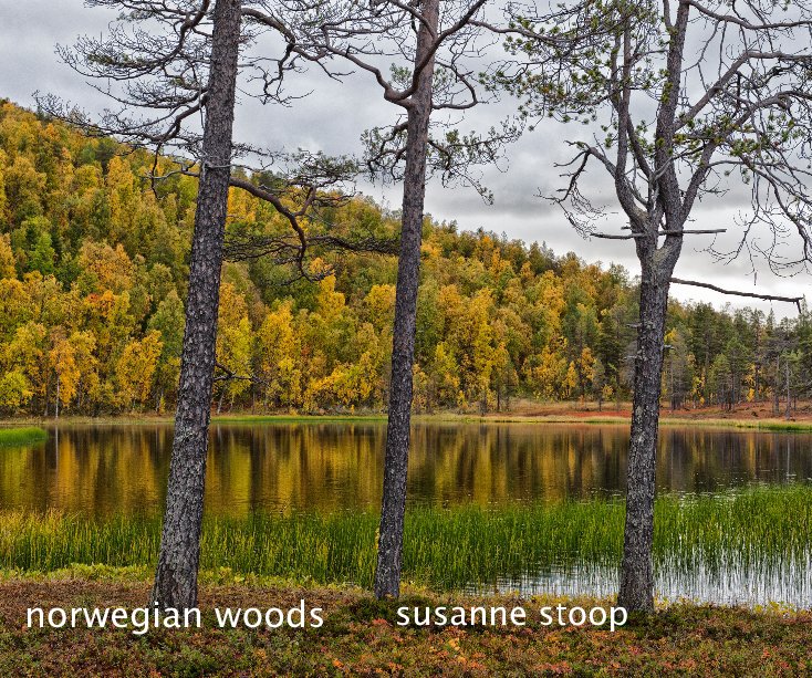 View norwegian woods by susanne stoop