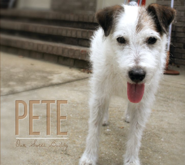 View Pete by Lesley Graham