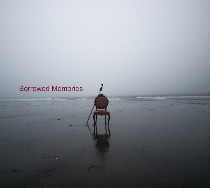 View Borrowed Memories by Anne Sinclair