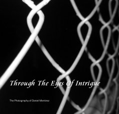 Through The Eyes Of Intrigue book cover