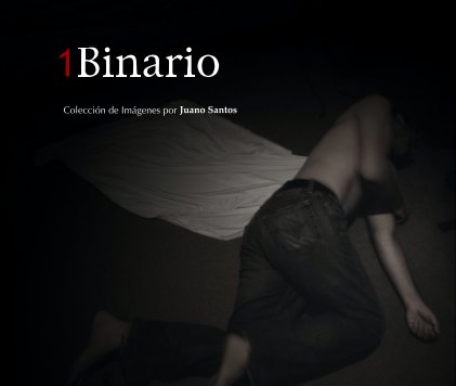 1 Binario book cover