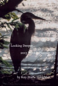 Looking Deeper... 2013 Weekly Planner book cover