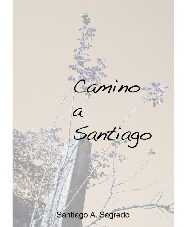 Ver Camino a Santiago por Santiago A. Sagredo