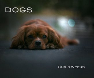 DOGS book cover