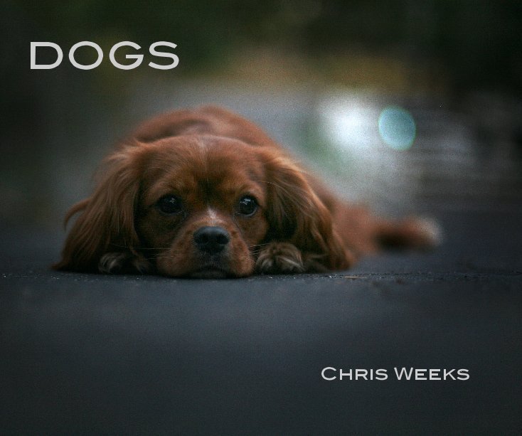 View DOGS by Chris Weeks