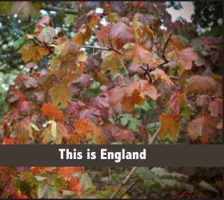 This Is England book cover