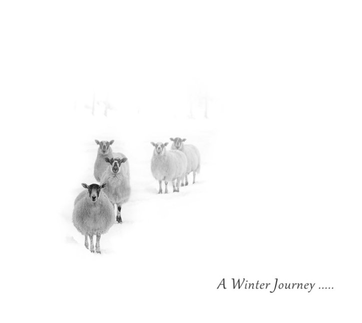 View A Winter Journey by Janet & Richard Burdon
