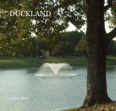 DUCKLAND book cover