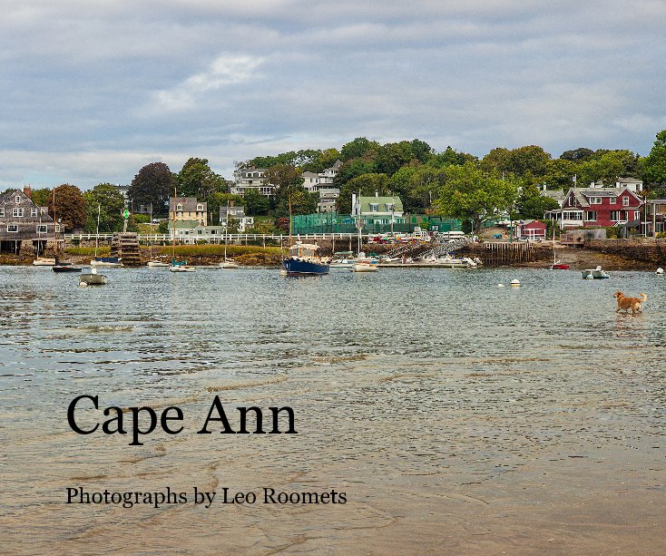 View Cape Ann by Leo Roomets