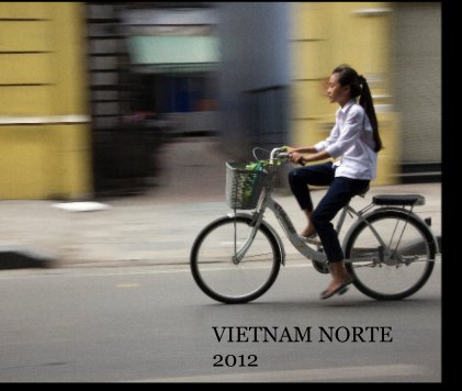 VIETNAM NORTE 2012 book cover