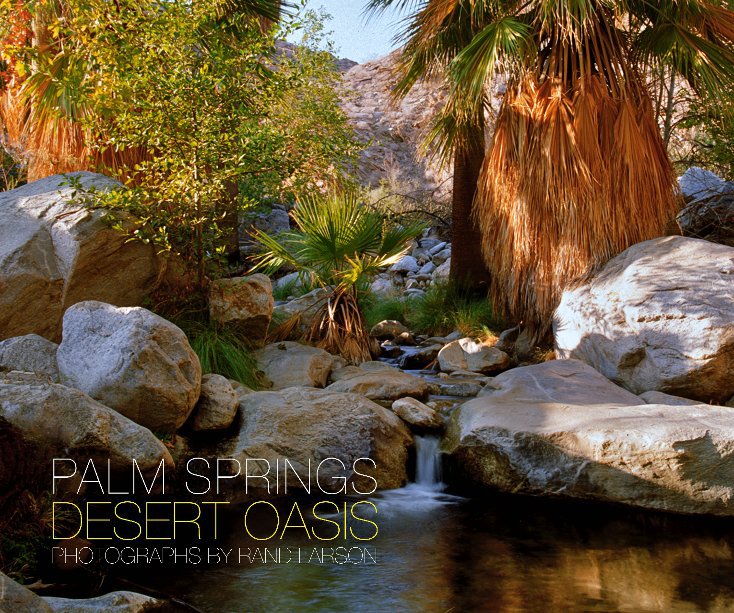View Palm Springs Desert Oasis by Rand Larson