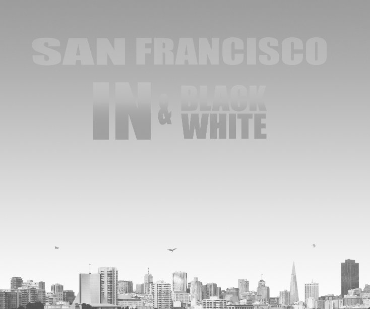 View San Francisco in Black and White by Gino Maccanti