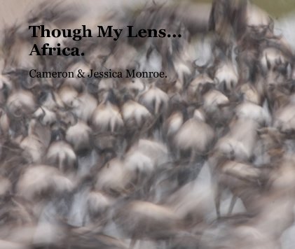Though My Lens... Africa. book cover