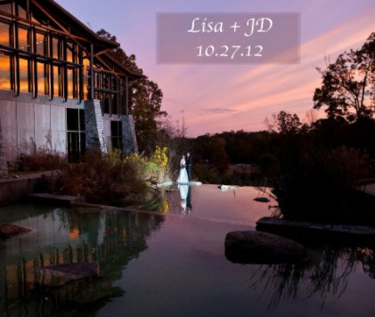 Lisa + JD book cover