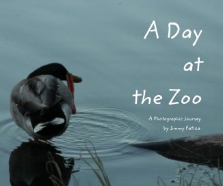 A Day at the Zoo book cover