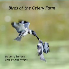Birds of the Celery Farm book cover