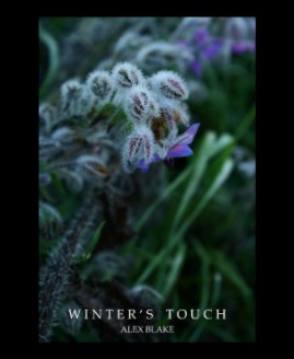 Winter's Touch book cover