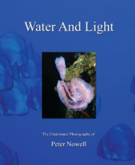 Water And Light book cover
