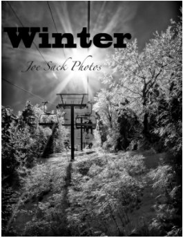 Winter book cover