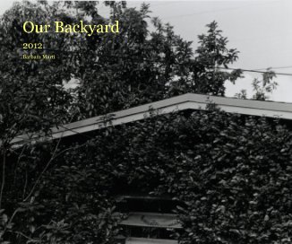 Our Backyard book cover