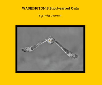 WASHINGTON'S Short-earred Owls book cover