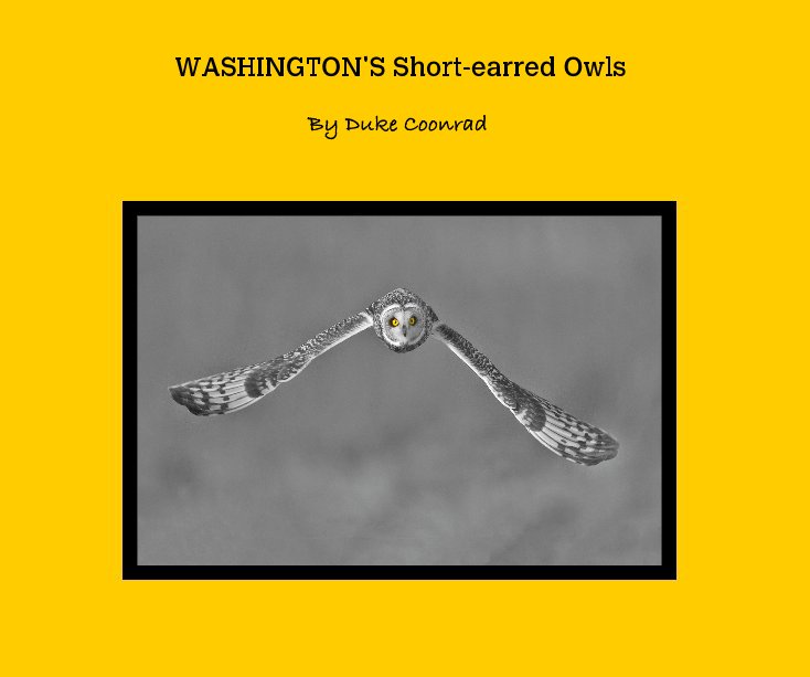 View WASHINGTON'S Short-earred Owls by dudadgp