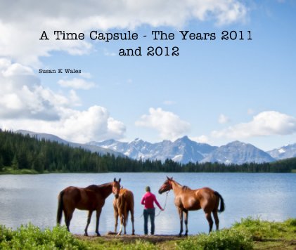 A Time Capsule - The Years 2011 and 2012 book cover