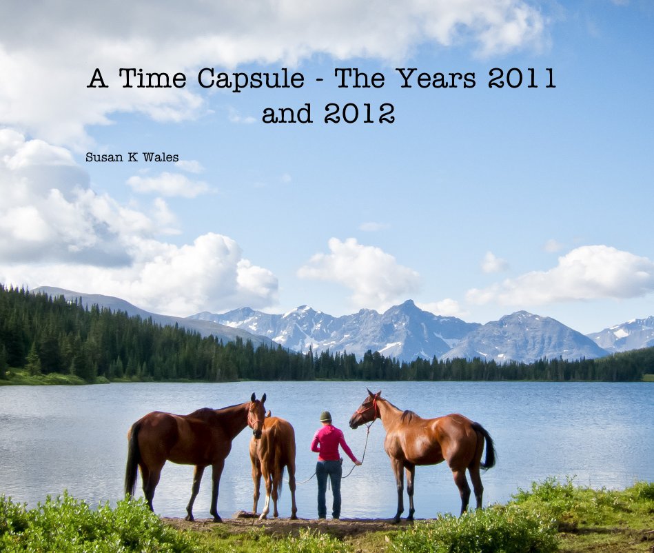 View A Time Capsule - The Years 2011 and 2012 by Susan K Wales