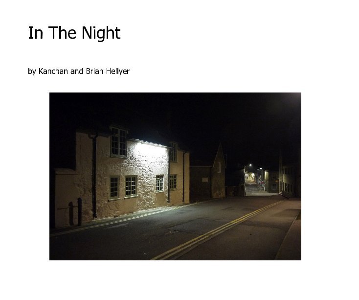 Ver In The Night por Kanchan and Brian Hellyer