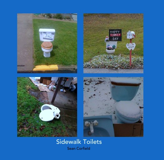 Ver Sidewalk Toilets por Sean Corfield