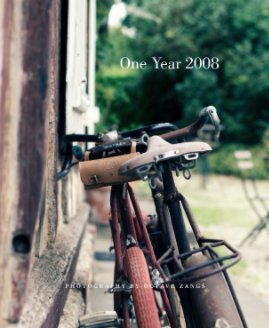 One Year 2008 book cover