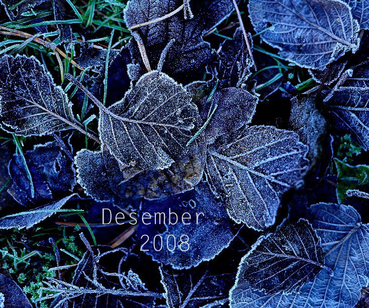 View Desember 2008 by tomhaga
