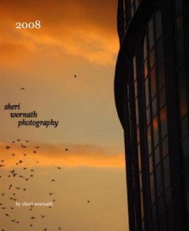 2008 book cover