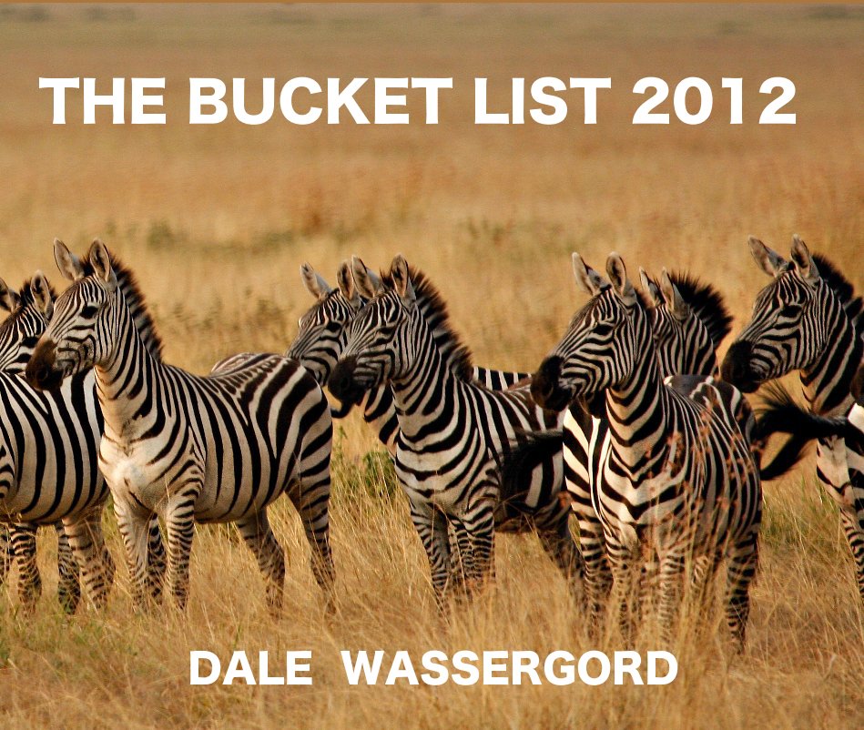 Ver The Bucket List 2012 por DALE WASSERGORD