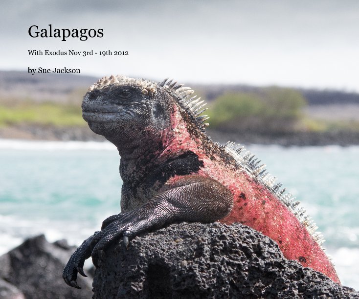 View Galapagos by Sue Jackson