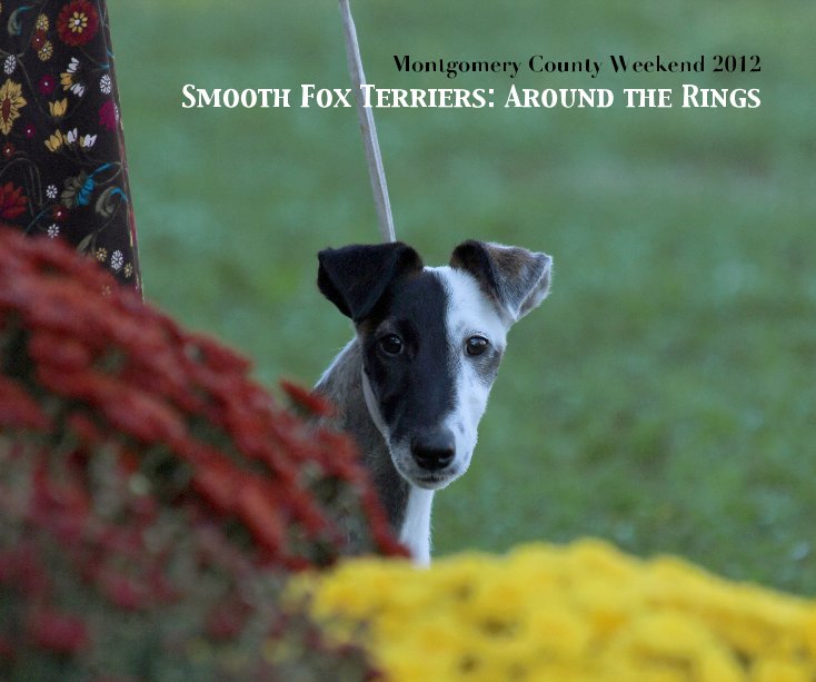 Ver Smooth Fox Terriers: Around the Rings por Mary Lynn Machado