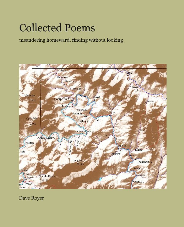 Collected Poems nach Dave Royer anzeigen