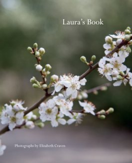 Laura's Book book cover