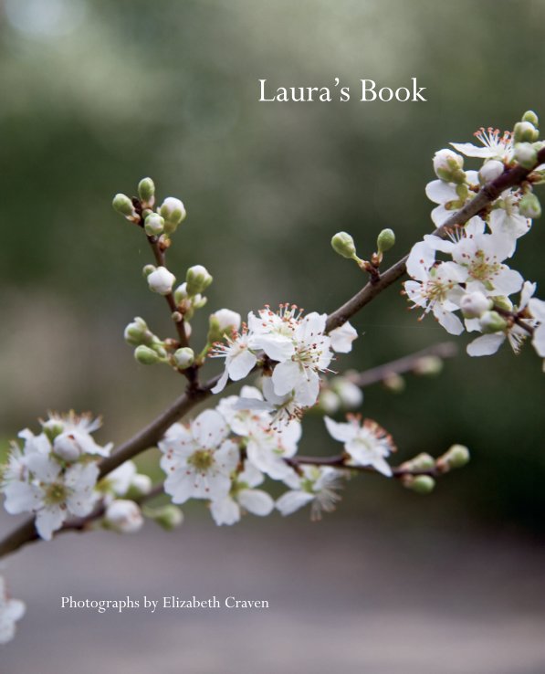View Laura's Book by Elizabeth Craven