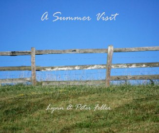 A Summer Visit book cover