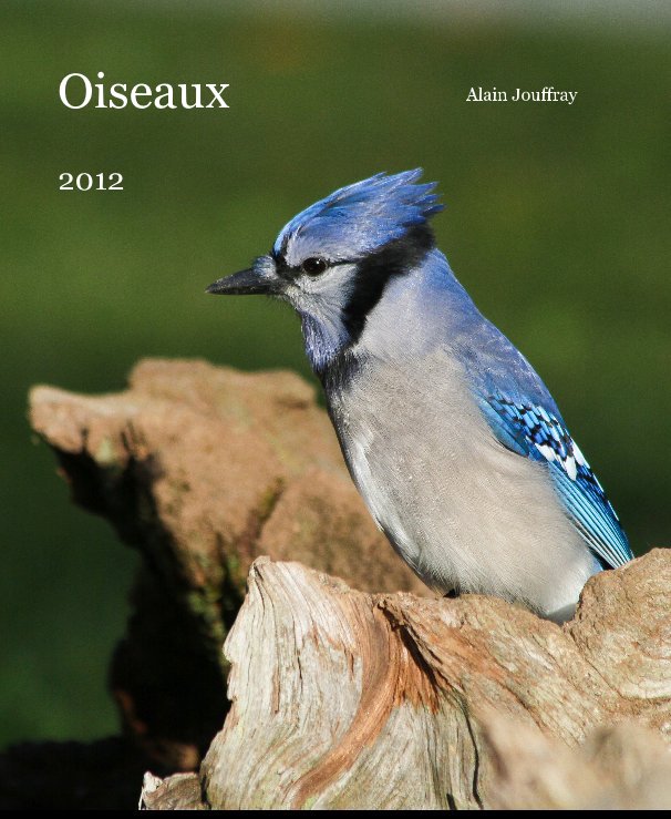 Ver Oiseaux 2012 por Alain Jouffray
