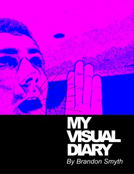 Visual Diary book cover