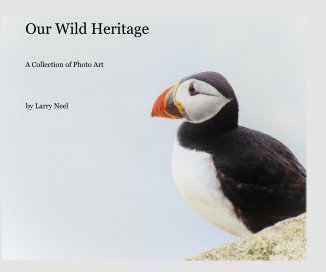 Our Wild Heritage book cover