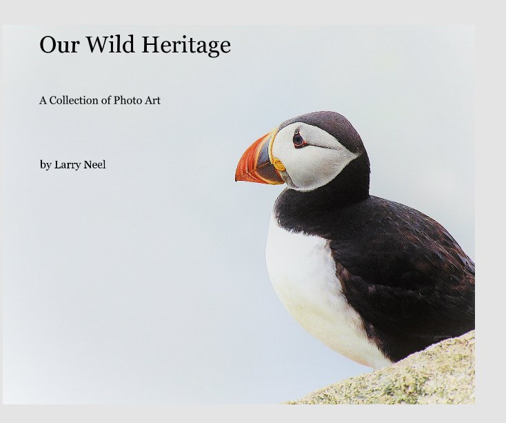 Visualizza Our Wild Heritage di Larry Neel