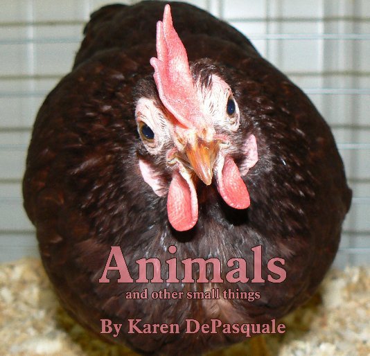 View Animals by Karen DePasquale
