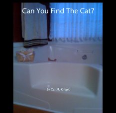 Can You Find The Cat? book cover