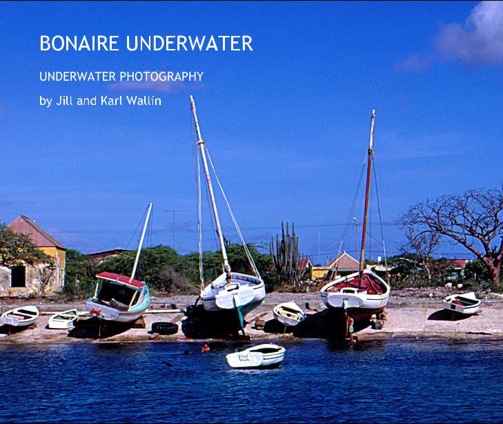 View BONAIRE UNDERWATER by Jill and Karl Wallin